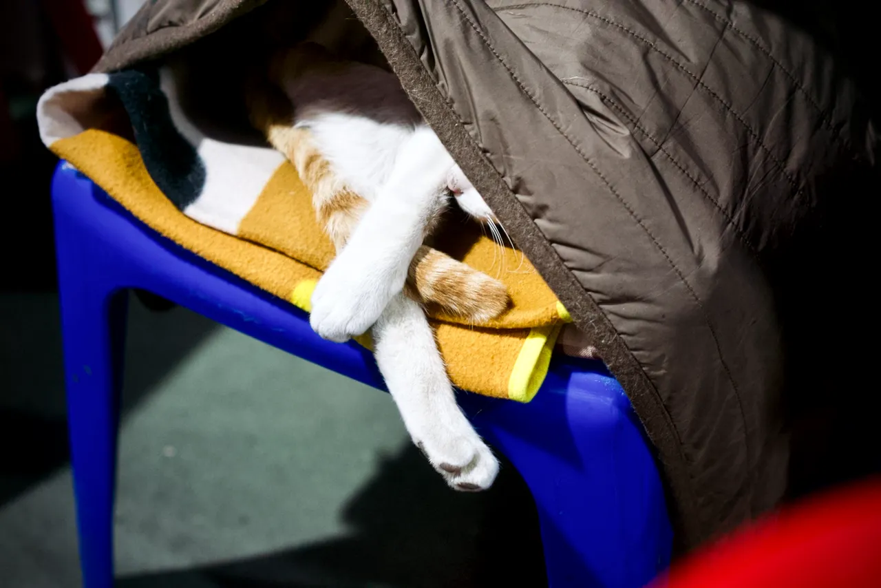 예술해방전선 활동 기록 사진 DSC01298