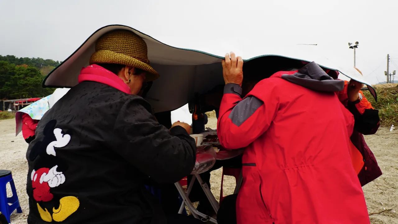 예술해방전선 활동 기록 사진 DSC03160