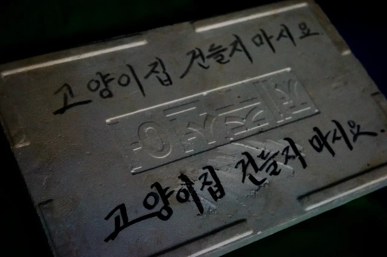 예술해방전선 활동 기록 사진 DSC03319