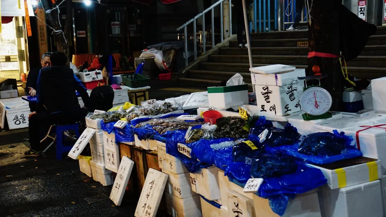 예술해방전선 활동 기록 사진 DSC04900