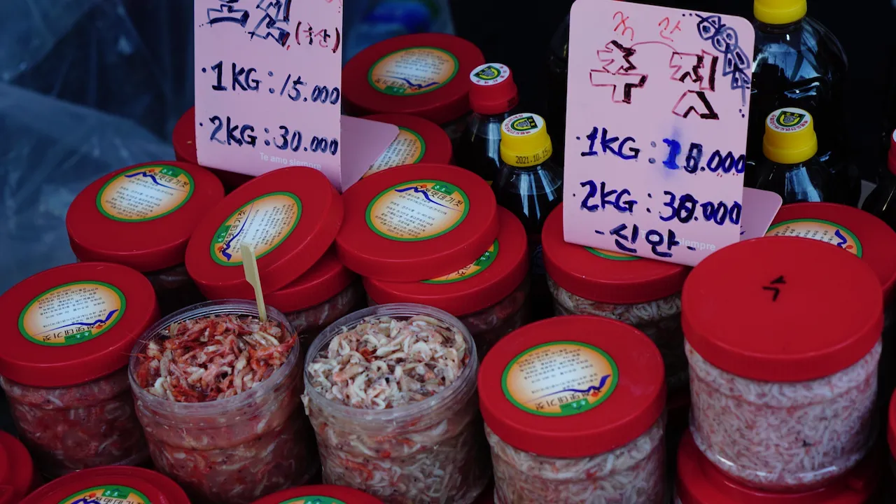 예술해방전선 활동 기록 사진 DSC05033