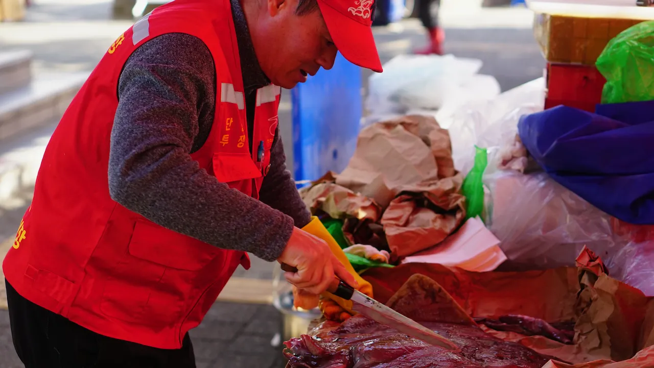 예술해방전선 활동 기록 사진 DSC05215