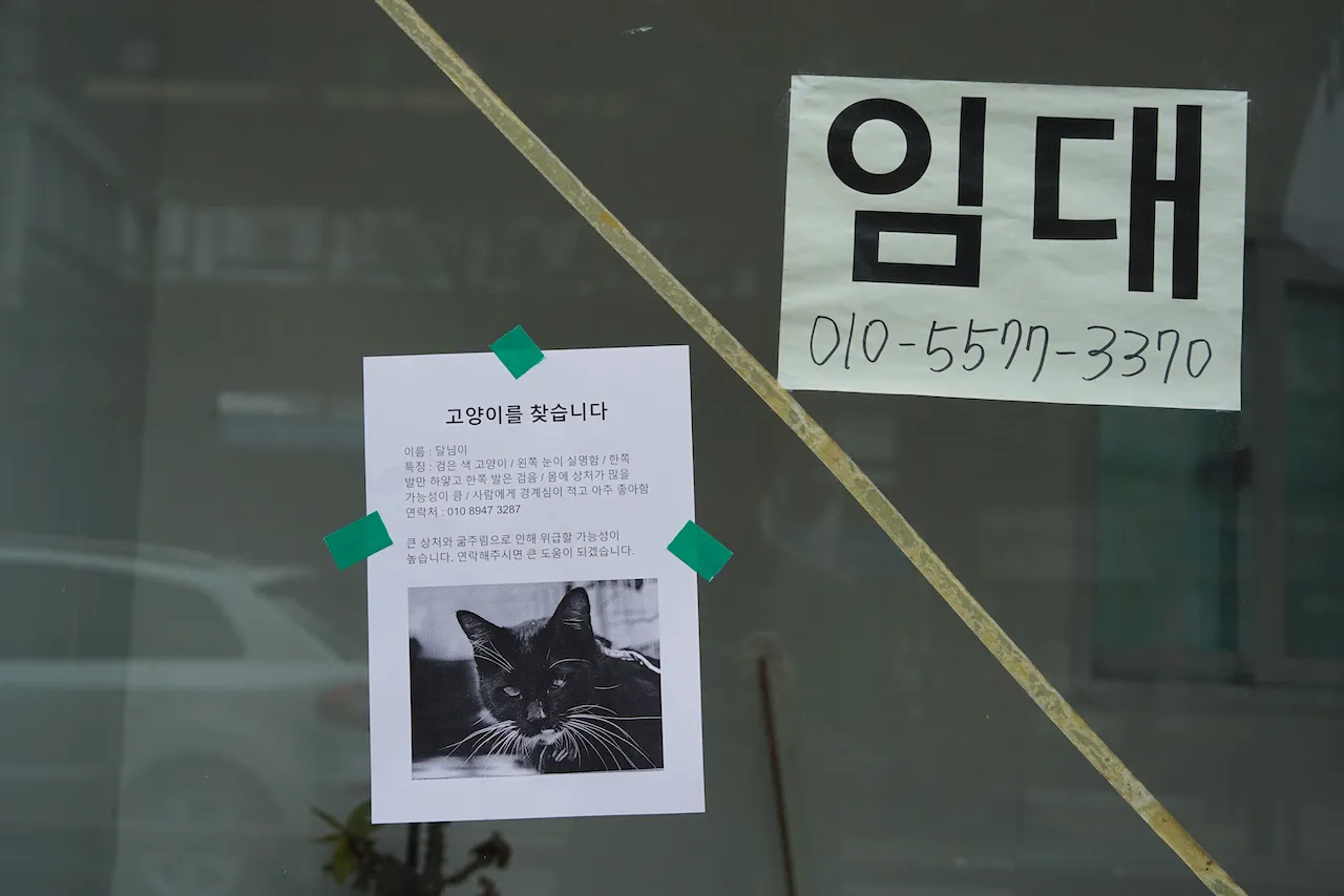 예술해방전선 활동 기록 사진 DSC07234