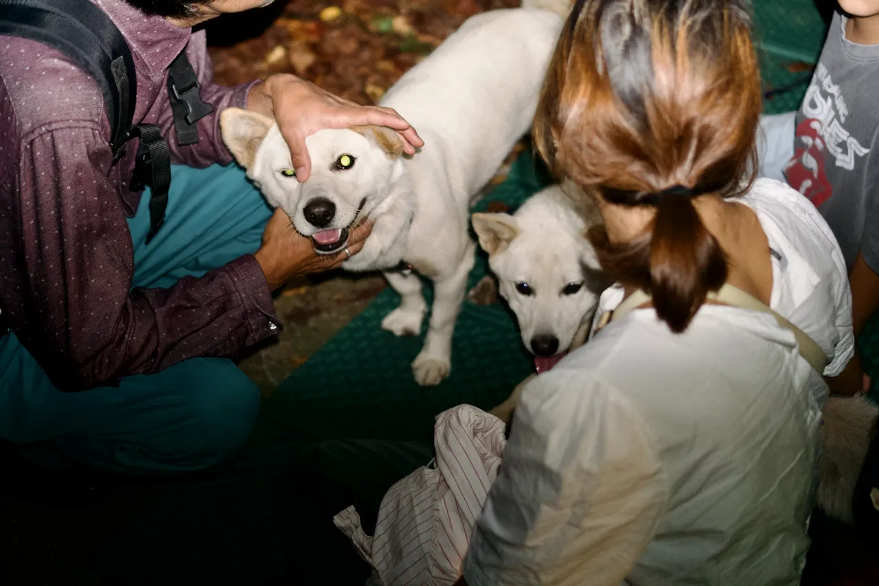 예술해방전선 활동 기록 사진 DSC07278