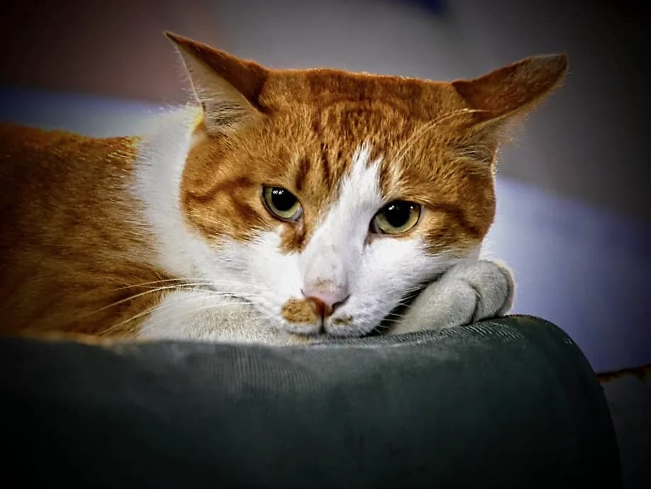 예술해방전선 활동 기록 사진 IMG 1678