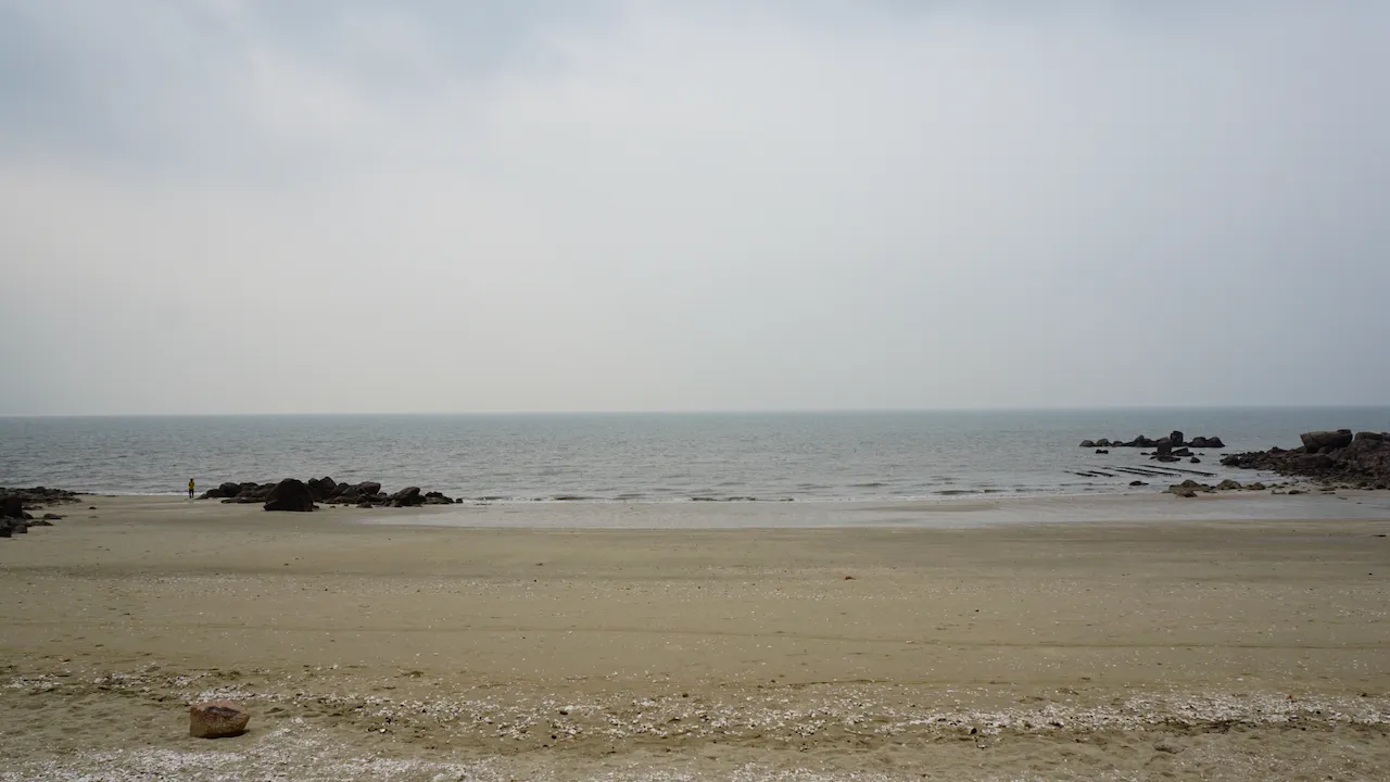 예술해방전선 활동 기록 사진 DSC03153