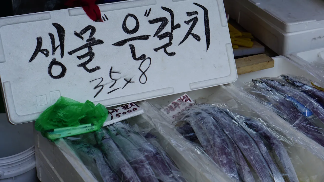 예술해방전선 활동 기록 사진 DSC05041