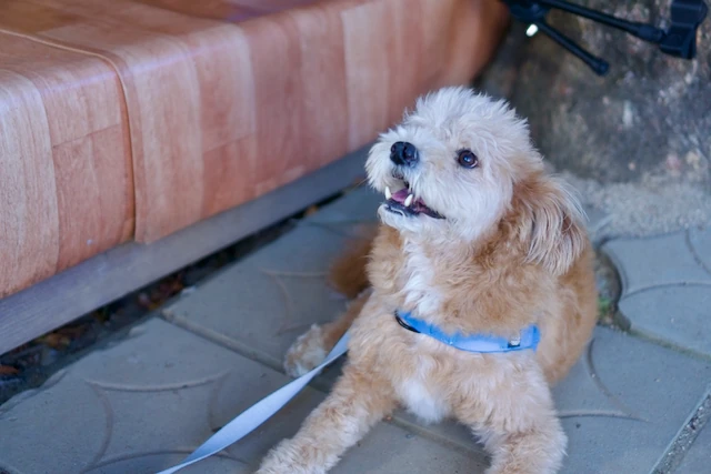 예술해방전선 활동 기록 사진 DSC08563