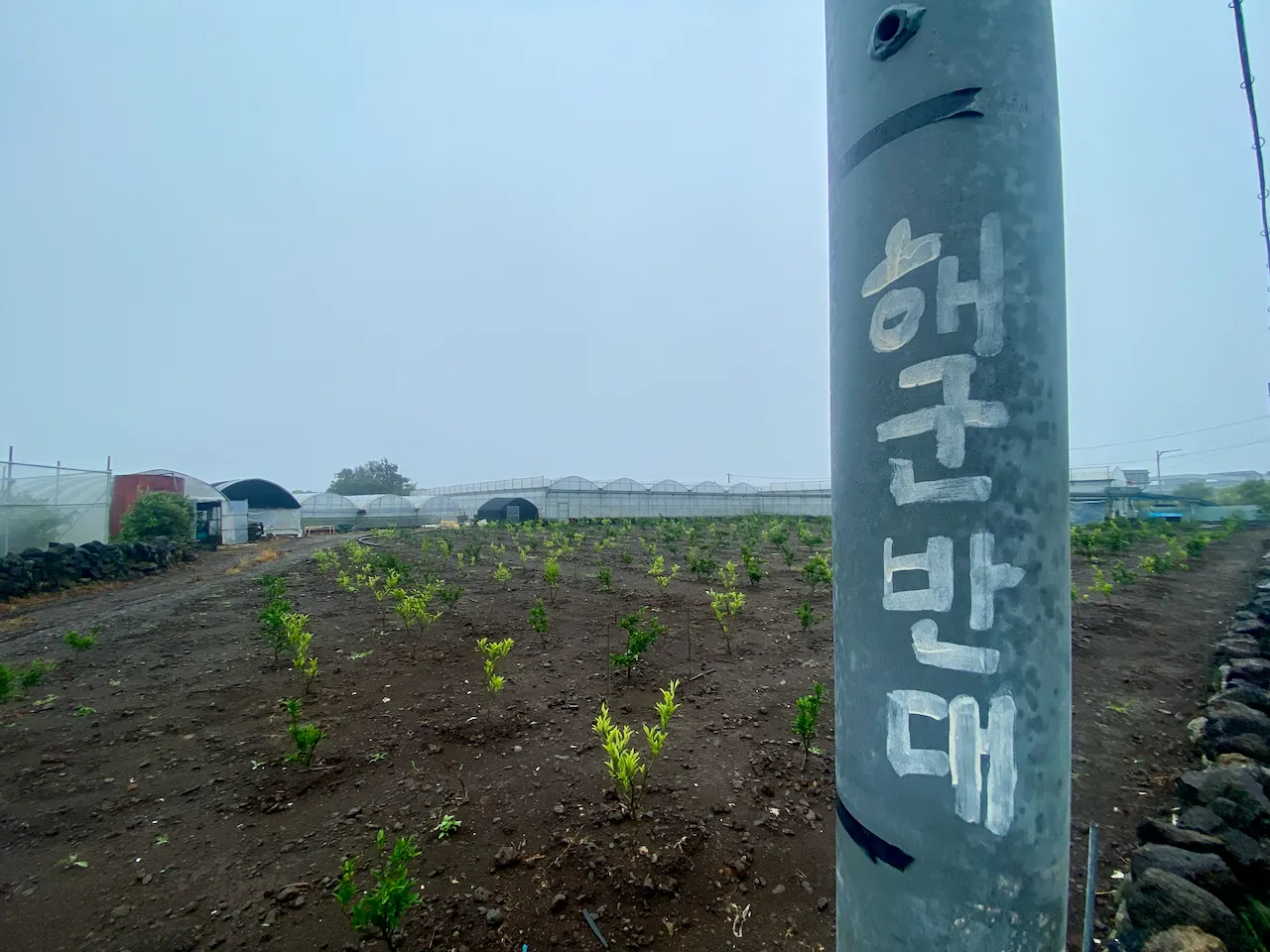 예술해방전선 활동 기록 사진 IMG 5327